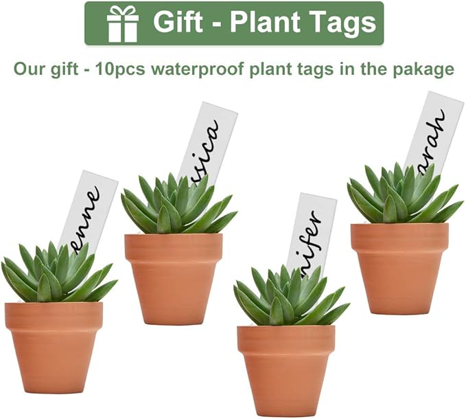 32pcs Small Mini 2" Terracotta Pot Clay Ceramic Pottery Planter, Cactus Flower Nursery Terra Cotta Pots, with Drainage Hole, for Indoor/Outdoor Succulent Plants, Crafts, Wedding Favor