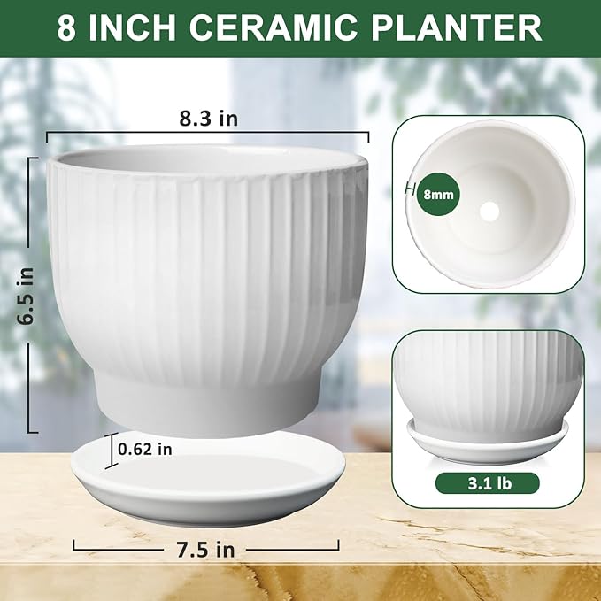 8 Inch Plant Pot, Ceramic Planter with Drainage and Saucer, Ceramic Pots for Plants, Indoor Plant pots,Ceramic Flower pots(Pure White, Plants NOT Included)