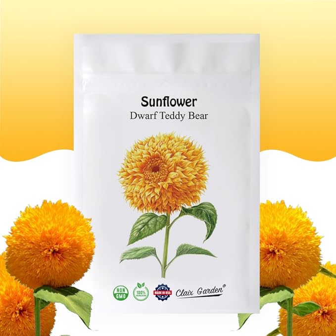 Sunflower Seeds - Teddy Bear - 50 Seeds - Heirloom, Non-GMO, USA Grown, Excellent for Pollinators, Annual, Deer Resistant - Sunflower Seeds for Any Home Garden
