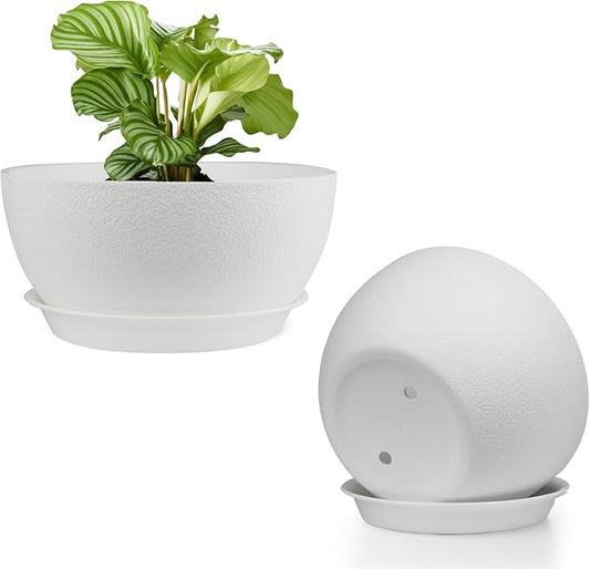 10 inch Plant Pots Pack of 2, Plastic Planter with Drainage Holes and Saucers, Plant pots for Indoor Outdoor Use, Flower Pots for All House Plants (White)