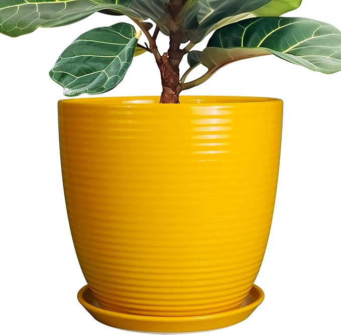 12 Inch Pots for Plants - Ceramic Planter for Indoor Plants Large Plant Pot with Drainage Hole and Saucer Round Outdoor Flower Pot for Garden Home Patio Office Yellow