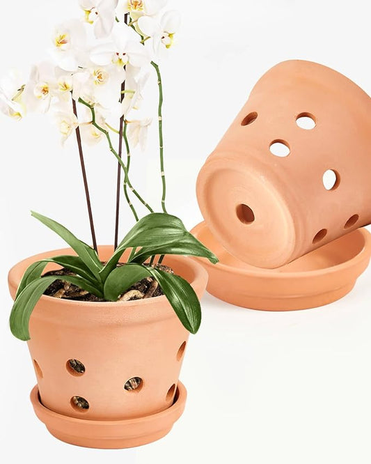 vensovo 8 Inch Terracotta Orchid Pots with Holes and Saucers - 2 Pcs Large Clay Planters for Repotting, Terra Cotta Pot for Plants Indoor and Outdoor Promotes Air Circulation