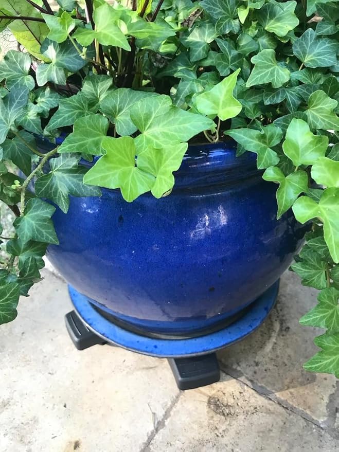 Bosmere S14410 Down Under Plant Caddie, Heavy Duty Plant Stand with Wheels, 500lb Capacity, 14-Inch,Black