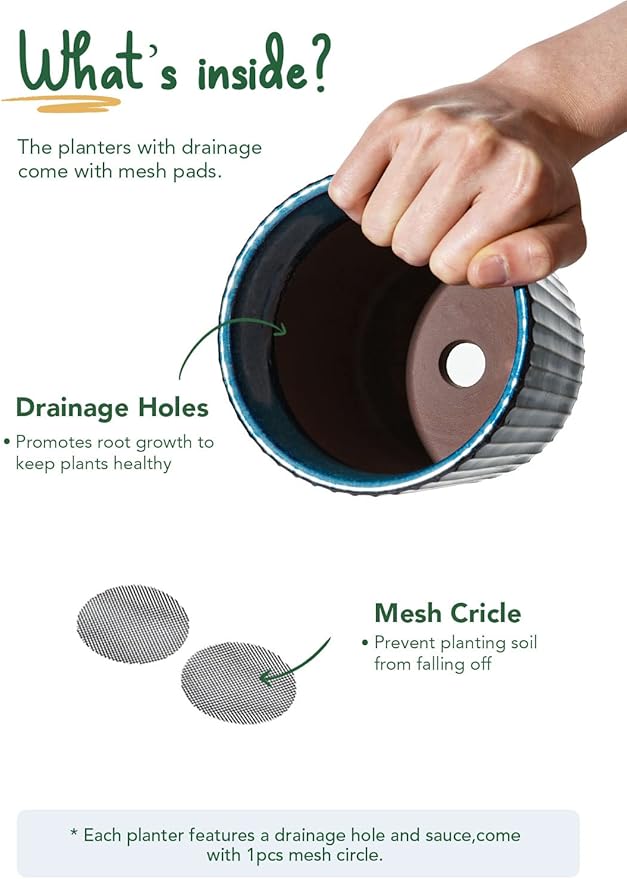 LE TAUCI Ceramic Plant Pots, 5.5 Inch Pots for Indoor Plants, Planters with Drainage Hole and Saucer, Flower Pots for Succulent, Snake Plants and Cactus, Set of 2, Reactive Glaze Blue