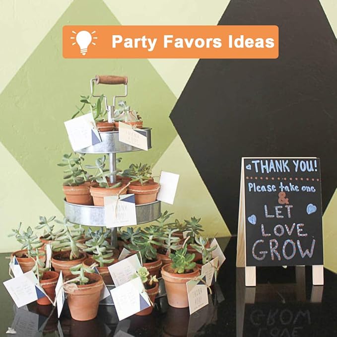 Riseuvo 32pcs 2" Small Mini Terracotta & Clay Pot Planter - Cactus Flower Nursery Terra Cotta Pots with Drainage, Perfect for Indoor/Outdoor Plants, Crafts