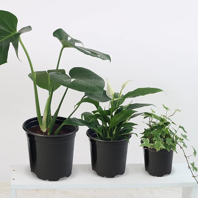 RAOOKIF 45 Pack 5 6 7 Inch Nursery Pots Variety Pack, Plastic Nursery Pot with Drainage Holes, Seed Starting Pots for Flower Seedling, Cuttings, Transplanting (5+6+7 Inch,45pcs)