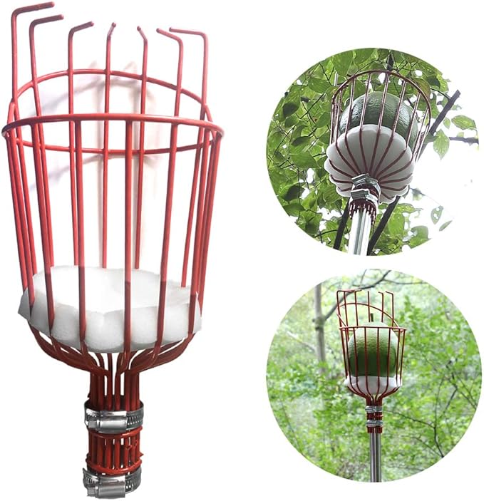 Fruit Picker Tool, 5.5 Foot-Long Fruit Picker Equipped with Optional Splicing of Lightweight Stainless Steel to Pick Apples, Oranges and Fruit Trees (5.5 Foot)