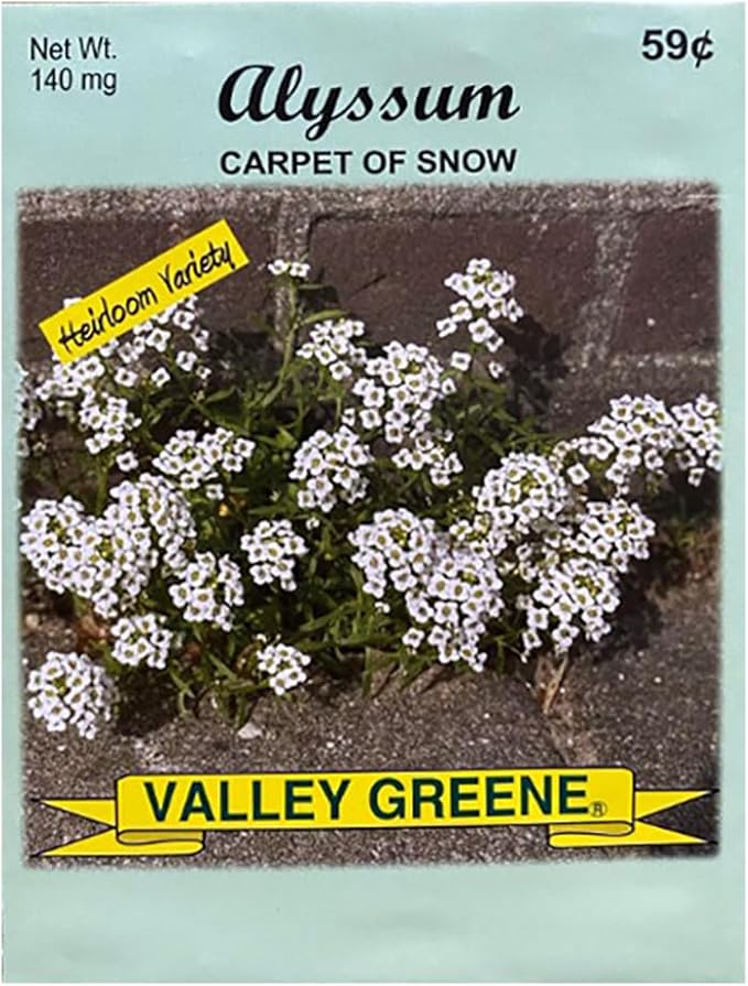 Set of Flower Seed Packets! Flower Seeds in Bulk - Great for Creating The Garden of Your Dreams! (100, Alyssum)