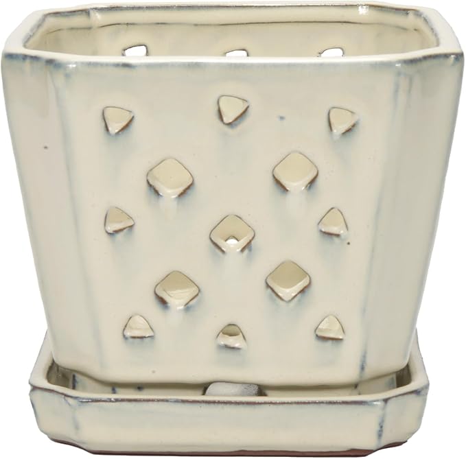 W&W Orchid Pot with Holes and Saucer for Repotting and Better Grow, Cream White, 7 Inches