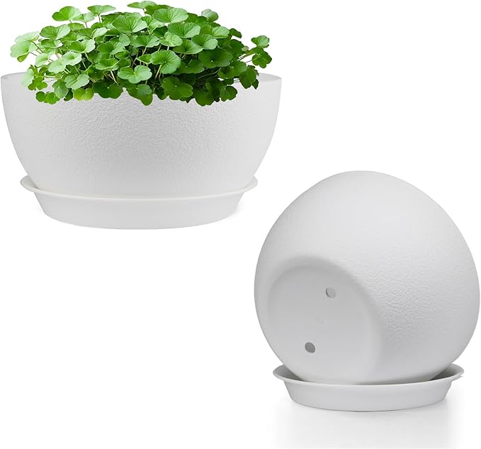 8 inch Plant Pots Pack of 2, Plastic Planter with Drainage Holes and Saucers, Plant pots for Indoor Outdoor Use, Flower Pots for All House Plants (White)