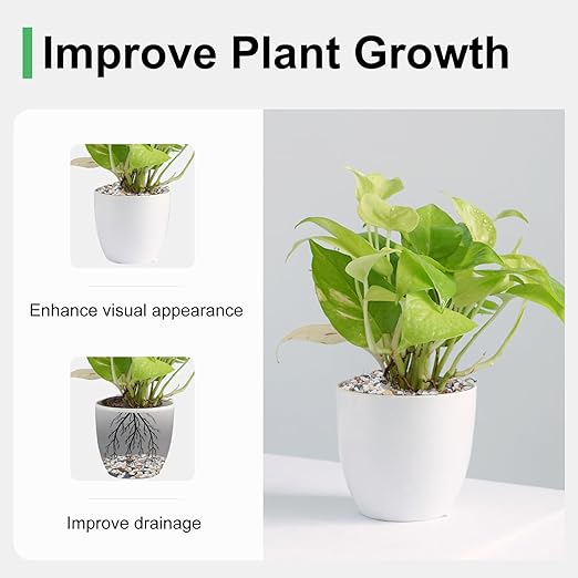 5 lbs Pebbles for Indoor Plants, 1/5 Inch Natural Decorative Gravel for Vases, Aquariums, Terrarium, Fish Tank, Drainage Rocks for Potted Plants, Bamboo, Succulent, Crafts, Cactus