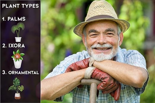 Premium All Season Palm, Ixora, and Ornamental Plant Food (8-4-8) by Gardenera - Cultivate a Picture-Perfect Landscape - 4 QUARTS