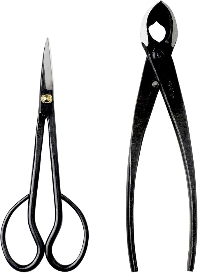 Wazakura Japanese Bonsai Tool Kit Made in Japan - Hanafubuki Satsuki Scissors 7inch(180mm) + Concave Branch Cutter 8inch(200mm) Gift Box Set