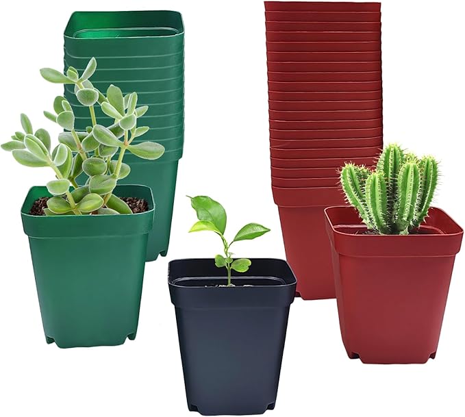 Square Plastic Nursery Pot 3" 120 Pcs Deep Succulent Pots Small Flower Planter Seeds Starter Pots with Drainage (Green,Black,Red 40pcs Each,2.7Inches)