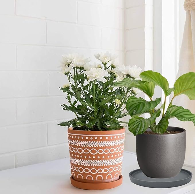 2 Pack Ceramic Plant Saucer Pot Tray 8 Inch, Planter Saucers 4 5 6 7 8 9 10 11 12 13 Inch for Indoors Outdoor, Durable Sturdy Flower Drainage drip Water Tray for Glazed Pots Base (8.5 Inch-Grey)