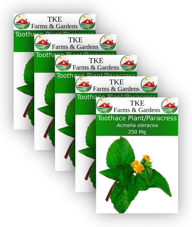 TKE Farms - Toothache Plant/Paracress Seeds for Planting, 250 Mg, Approximately 1000 Seeds, Acmelia oleracea, Non-GMO, Heirloom, Qty 5