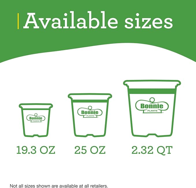 Bonnie Plants 202188 Super Sweet 100 Cherry Tomato, Red