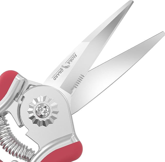 FLORA GUARD 6.5 Inch Micro-Tip Pruning snip Gardening Hand Pruning Shears Trimming Scissors with Stainless Steel(Red)