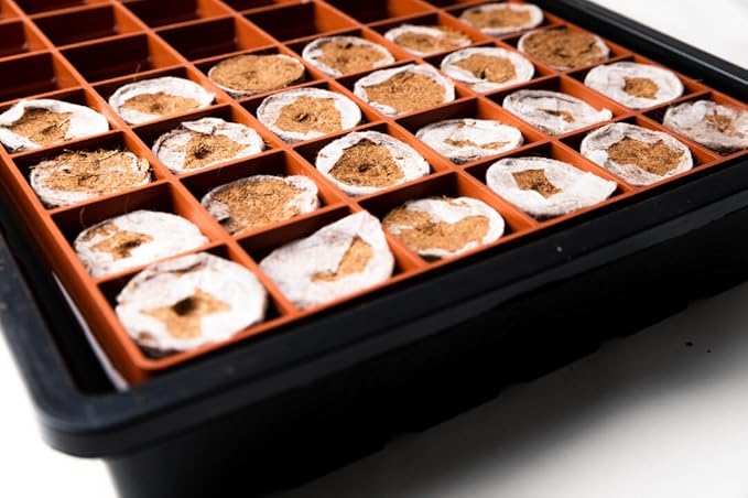 Seed Plug Propagation Coin (Pack of 78) - 100% RHP Certified Buffered Coco Coir Cloning Plug with Pre-Drilled Holes, Wrap Around Paper, Fast Rooting, pH Stable, Low EC, Triple Washed