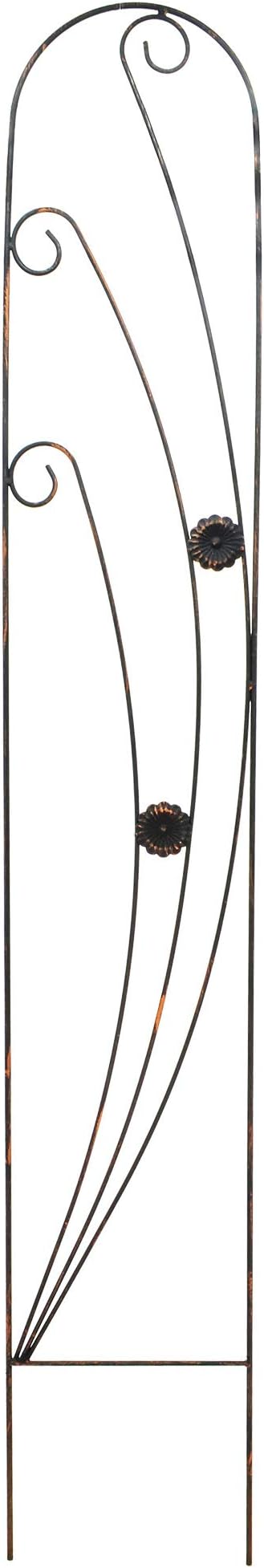 Arcadia Garden Products TR08 Phoenix Trellis 5' x 10", Black