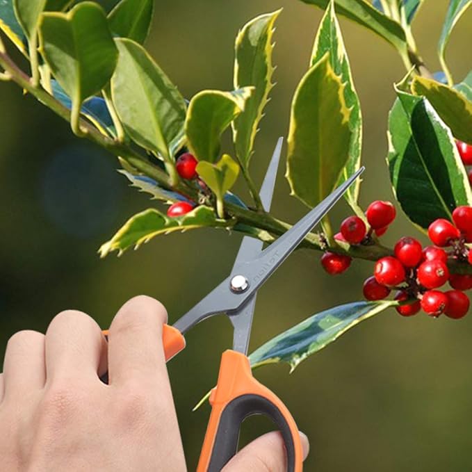 GROWNEER 6 Packs Trimming Scissors Teflon Coated Non Stick Blades Pruning Shears Gardening Hand Pruning Snips with Straight Stainless Steel Precision Blade