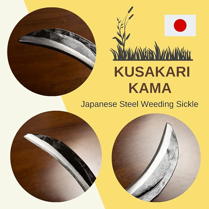 Japanese Weeding Sickle (Thick Blade), High Grade Steel Blade (Blue Steel No.2) Hand Tool for Gardening, Weeding and Farming, Blade Length 6.30inch