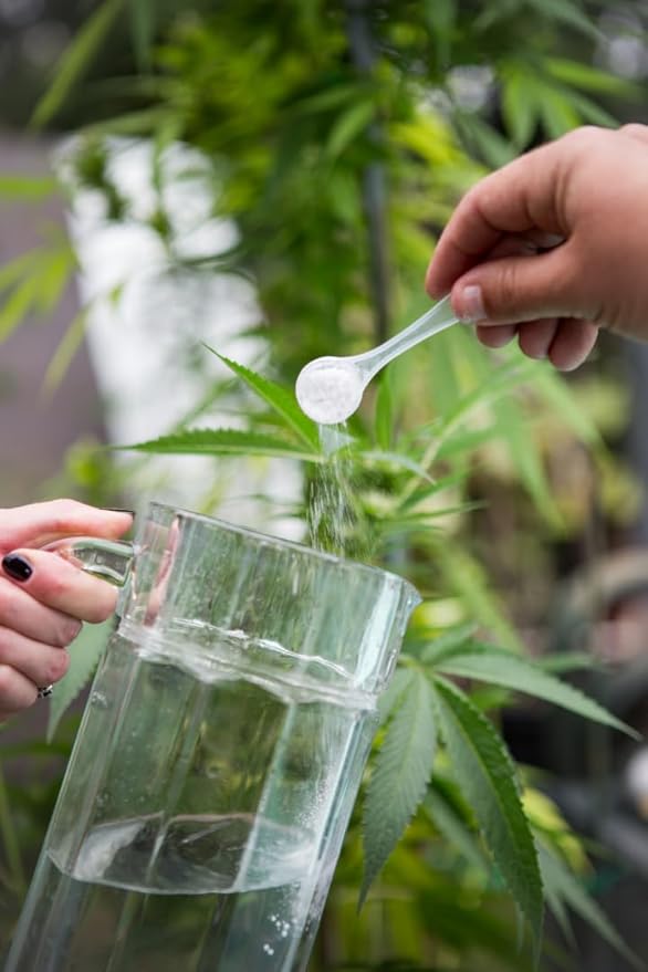 Reefertilizer® Grow | NPK + Micronutrients for Veg State Indoor and Outdoor Plants | 1.1lbs Powder Fertilizer Vegetative Nutrients | 120 feedings or up to 8 Plants | for Soil, Coco, DWC, Hydroponic