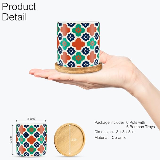 6 Pack Succulent Pots with Drainage Hole, 3 inch Ceramic Succulent Planter with Bamboo Tray, Bright Color Succulent Plant Pots for Cacti Succulent Soil Potting Mix Indoor/Outdoor