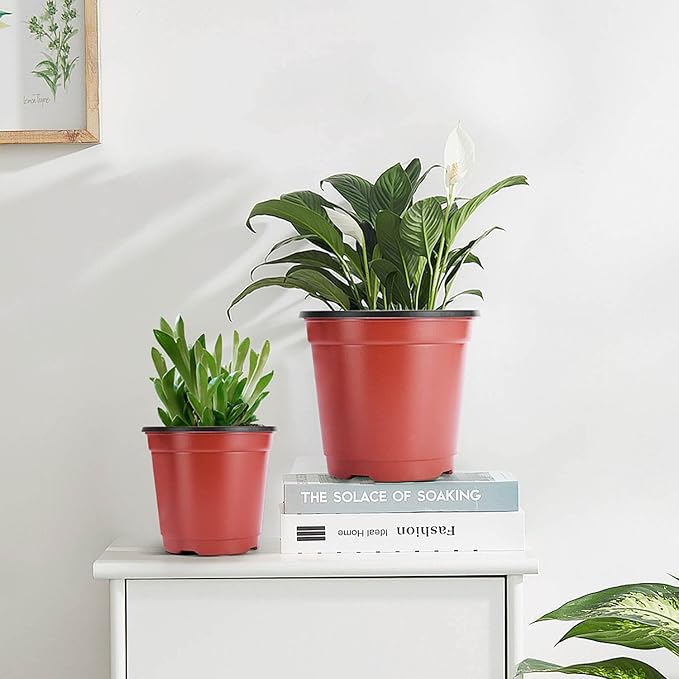 VIVOSUN 50 Pcs 6 Inch Plastic Plant Nursery Pots, Seed Starting Pot, Flower Plant Container for Seedlings, Cuttings, Transplanting