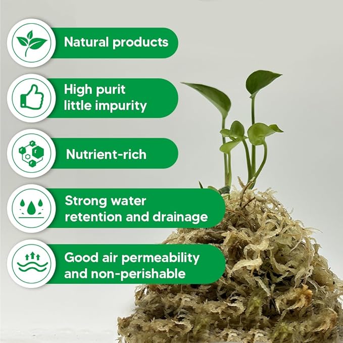 Natural Long Fiber Sphagnum Moss 34QT for Orchid Potting Mix, and Moss Pole for Plants Indoor. Ideal for Propagating Plants, Maintaining Humidity for Reptiles, Isopods in Paludarium, Aquascape (10 OZ)