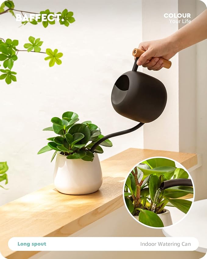Baffect Watering Can Indoor Plants, 1.2L/41OZ Cute Watering Can Pot, Metal Stainless Steel Garden Watering Can with Long Spout for Indoor House Plants Bonsai Outdoor Garden Flower Decorative