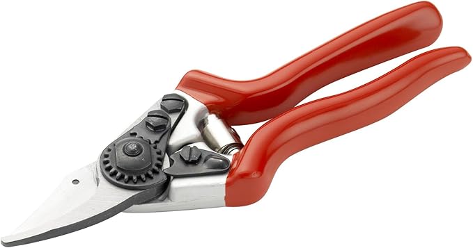 Spear & Jackson 6657BS Razorsharp Professional Short Blade Bypass Pruner