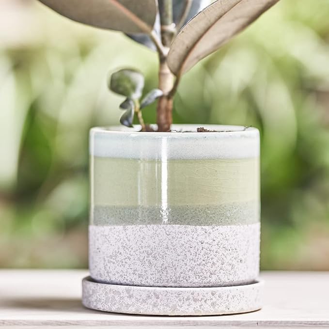 CHIVE ‘Minute’ Ceramic Planter Pot — Cute 5” Colorful Succulent Pots for Indoor & Outdoor House Plants — Beautiful Modern Farmhouse Kitchen Decor — Green Cement