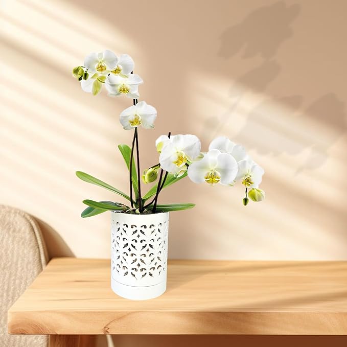 Orchid Pots with Holes,4 Inch Ceramic Orchid Pot for Repotting, Flower Planter Pot Indoor Outdoor, Breathable Slotted Orchids Planter White