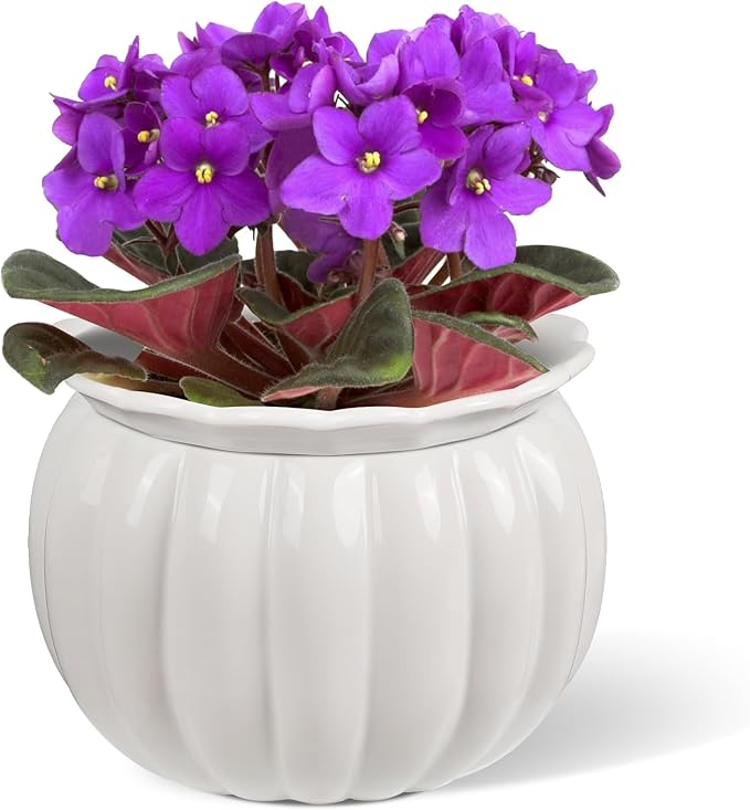 African Violet Self-Watering Ceramic Planter – 6 Inch Pot for Indoor Plants, Succulents, Herbs & Small Houseplants, Simple Self-Watering Design for Home & Office Décor, White