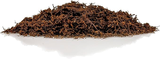 Premium New Zealand Tree Fern by GARDENERA - Orchid and Epiphytal Plants Growing Medium and Reptile Substrate - 3 Quart Bag