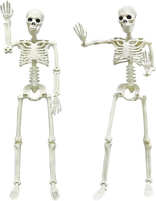 CAMIRUS 2PACK Plastic Posable Halloween Skeleton Decorations, 3FT Poseable Skeleton Full Body with Movable Joints for Halloween Indoor/Outdoor Haunted Houses, Lawn, Graveyard Decor