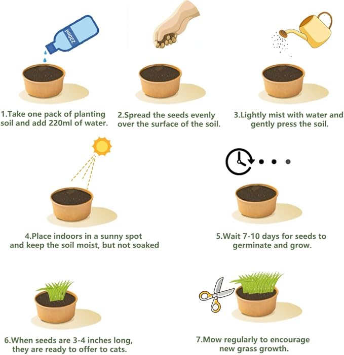 Cat Grass for Indoor Cats - Cat Grass Seeds Kit - Organic Cat Grass Growing Kit with High Germination Organic Wheat Seeds, Soil, and Planting Tools - Natural Hairball Control and Digestion Remedy