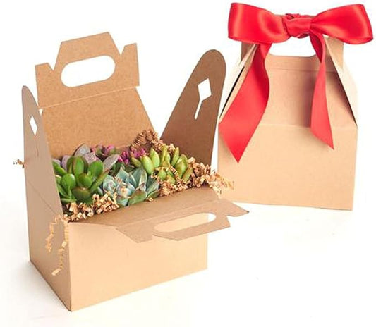Shop Succulents Unique Succulent Gift Pack Collection - Live Mini Succulent Plants, Low Maintenance, Exceptional Colors & Textures - Wedding and Party Favors, Gift & Garden, Pack of 6