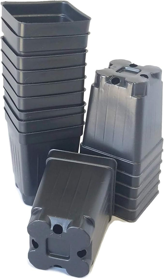100-2.5 inch Square DEEP Black Plastic Nursery pots seedlings Plants Landmark