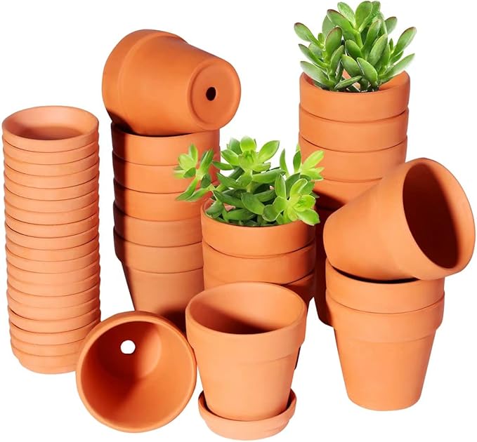 3 Inch Terracotta Pots with Saucer-20 Pack，Cactus Terra Cotta Flower Pots with Drainage，Succulent Nursery Clay Pots Great for Plants,DIY Crafts, Wedding Favor