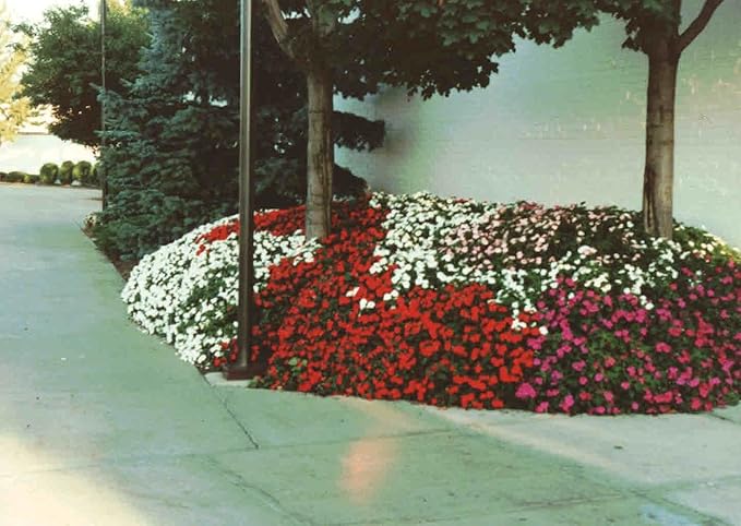 JRM Chemical 8LB Soil Moist Granular 1000-2000 Microns Water Storing Soil Additive (100507377)