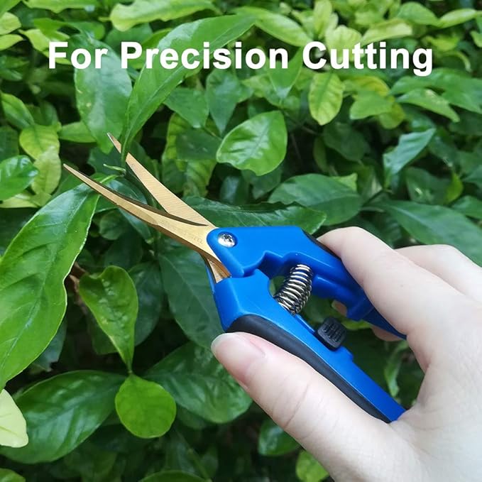 GROWNEER 6 Packs 6.5 Inch Pruning Shears with Curved Blades Trimming Scissors For Gardening Hand Pruning Snips Titanium Coated Precision Blades