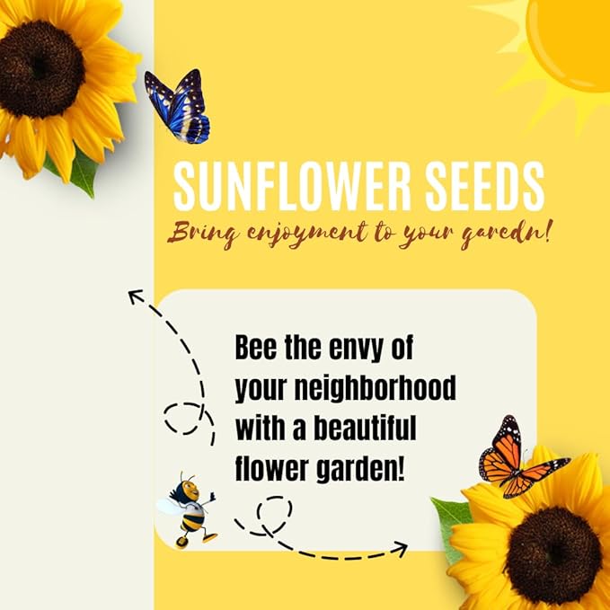 Sunflower Seeds for Planting to Plant Mammoth Sunflower Seeds Packet of About 100 Flower Seeds (Asteraceae Asterales Helianthus giganteus) !
