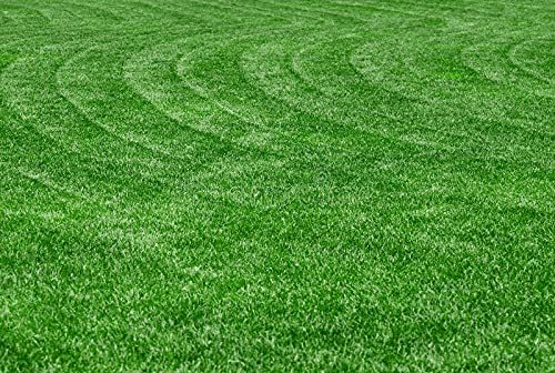 Potassium Polyacrylate Super Absorbent Polymer 20 Pounds