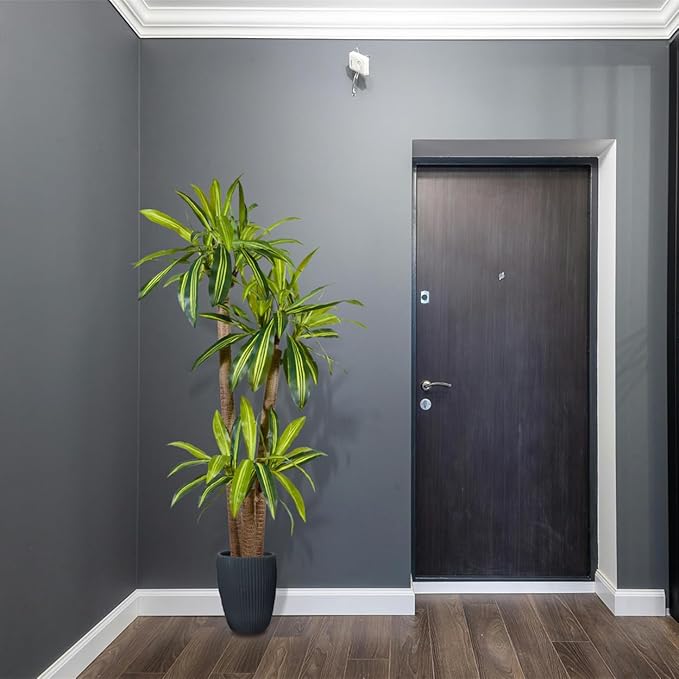 Artificial Dracaena Tree, 6ft Tall Fake Dracaena Plant with Basket, Indoor Outdoor Faux Topiary Yucca Trees for Office Home Living Room Porch Patio Décor