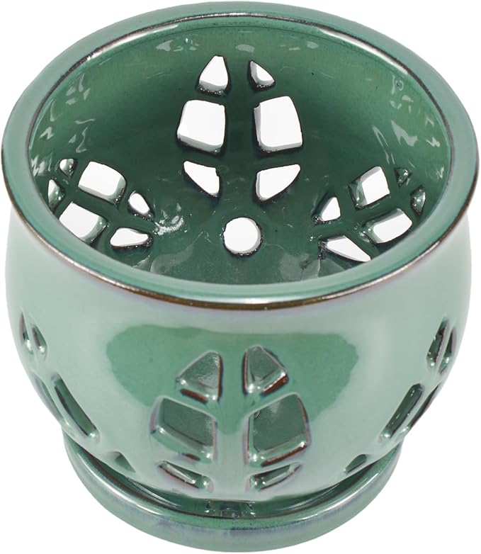 W&W Orchid Pot with Holes and Saucer for Repotting, Green, 6.5 Inches