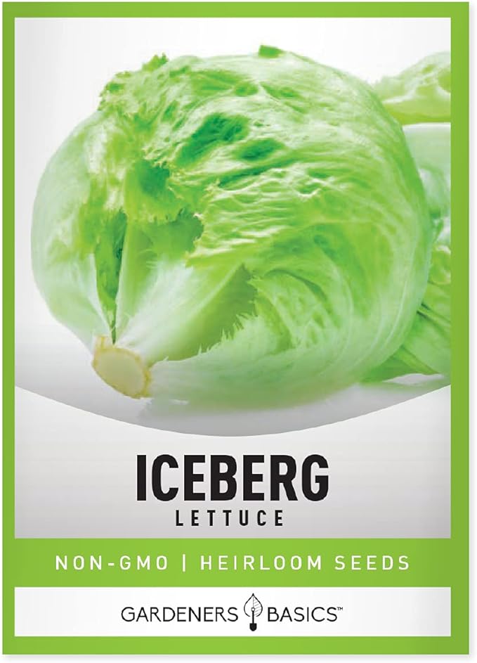 Gardeners Basics, Salad Greens Lettuce Seeds Heirloom Vegetable Seed 23,000 Seeds for Planting Indoors and Outdoor 10 Packs - Buttercrunch, Romaine, Iceberg, (and More) Leaf and Head Variety Pack