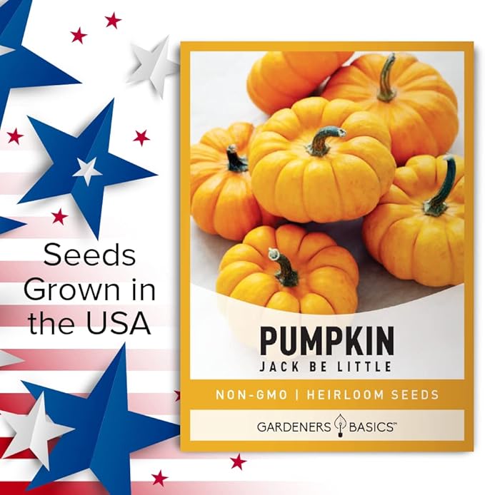 Mini Pumpkin Seeds for Planting (Jack Be Little) Small Heirloom, Non-GMO Vegetable Variety-5 Grams Seeds Great for Summer Pumpkin Gardens by Gardeners Basics
