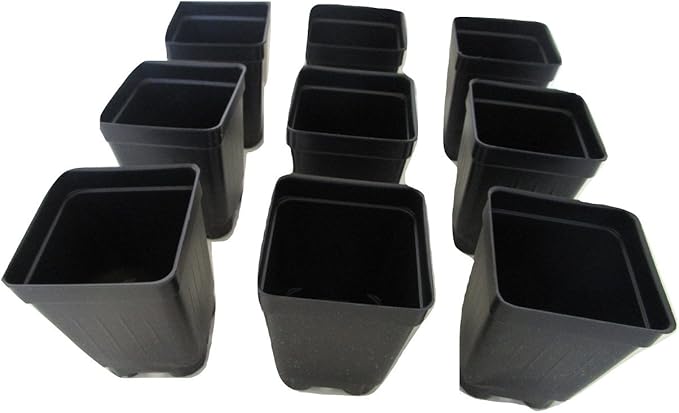 2.5" Square Extra Deep Landmark Nursery Pots - Press Fit (250)